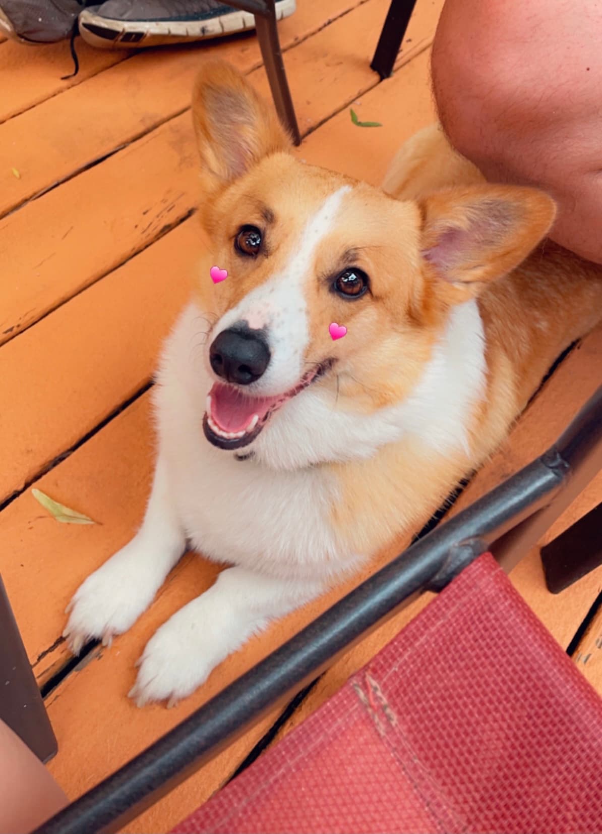 Potato close-up