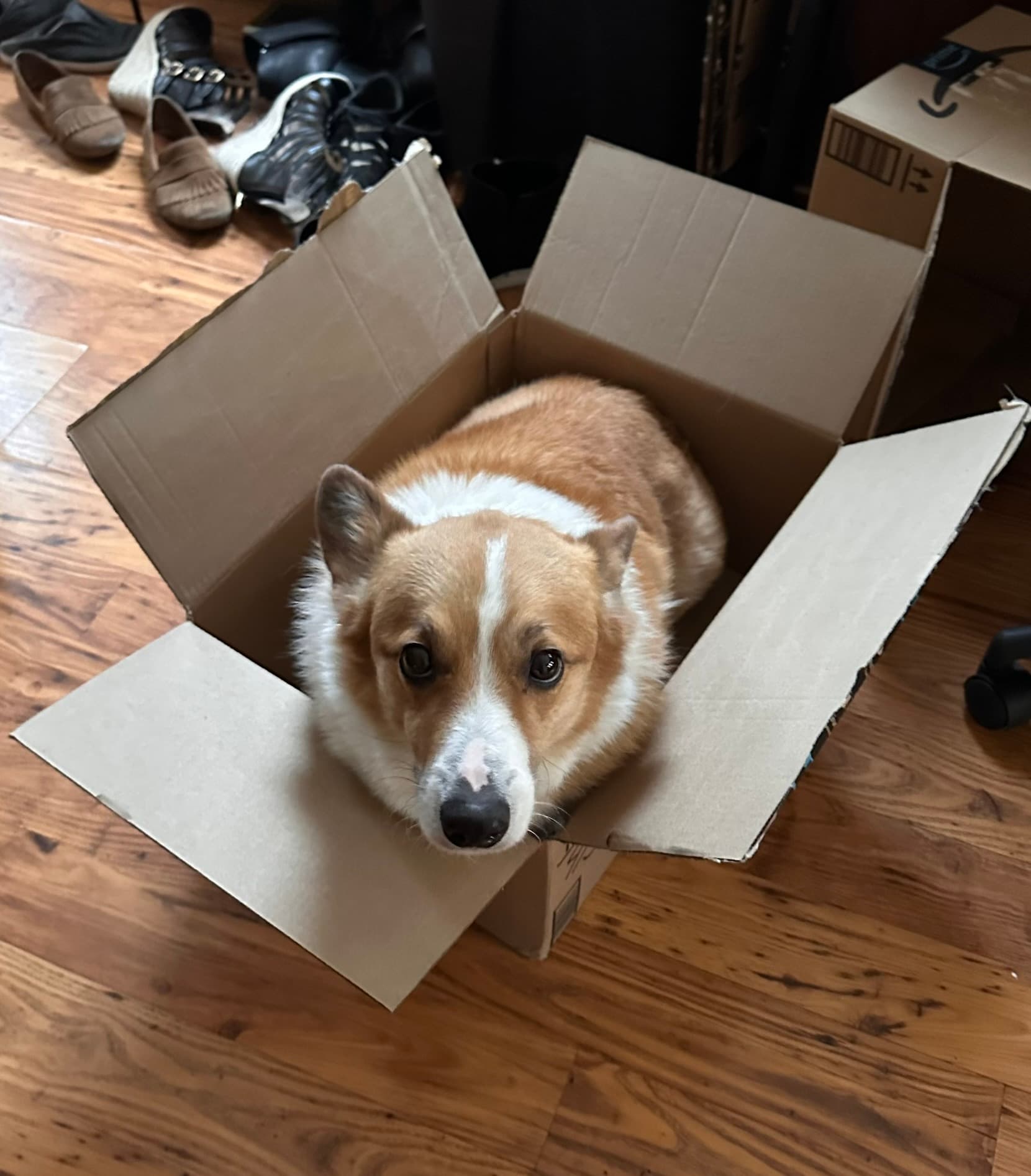 Potato peeking